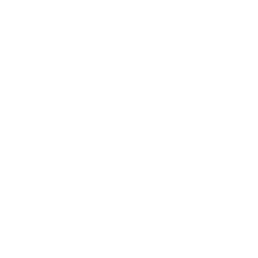 Logo Fan de soie